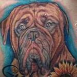 Tattoos - Dog - 111508